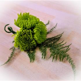 fwthumbButtonhole Green Chrysanthemum.jpg